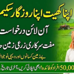 Current image: apna khet apna rozgar